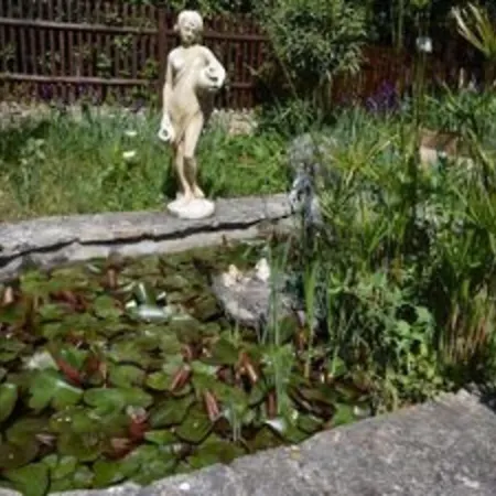 펜션 Les Oiseaux
