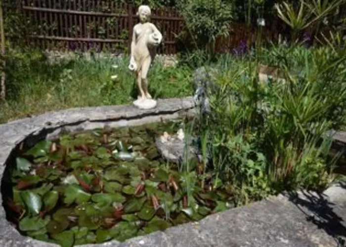 Les Oiseaux