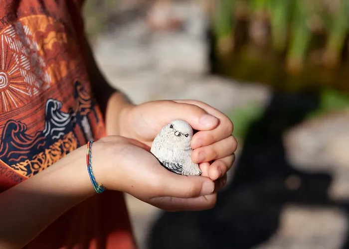 Les Oiseaux